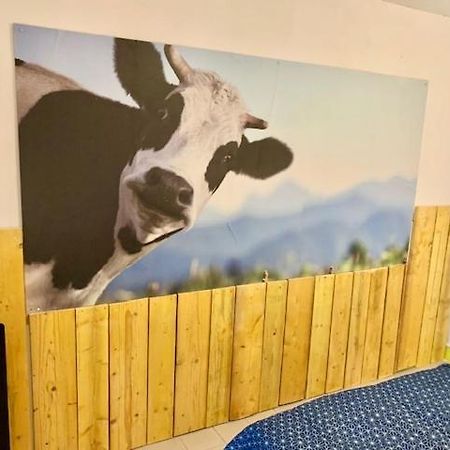 Le Depot Studio Du Petit Port Champvert Екстериор снимка